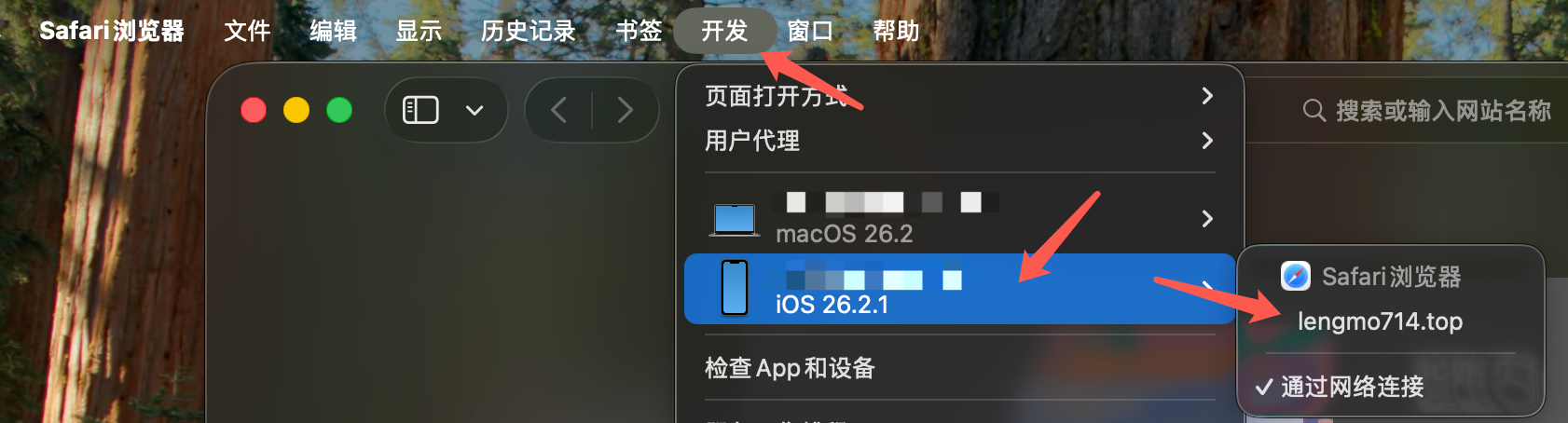 Open the Develop menu