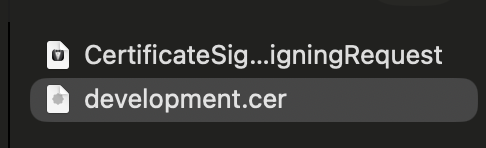 Downloaded CER file
